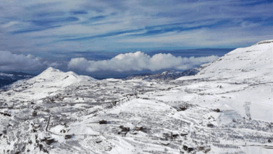 جيش الاحتلال يصعد اجراءاته في الأقصى قبيل شهر رمضان في تهيئة لفرض واقع أمني جديد