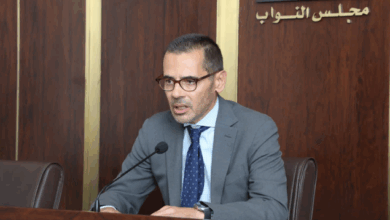 علامة بعد جلسة لجنة الشؤون الخارجية: مئة ألف لاجئ فرق بأرقام العائدين إلى سوريا ومطالبة بالتزام القانون