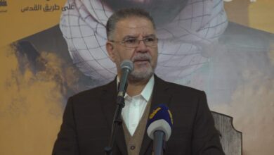 فياض: أي نقاش حول شمال الليطاني هو شأن سيادي داخلي يُبحث ضمن استراتيجية وطنية للدفاع