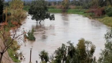 بدء مهام السفير اللبناني الجديد لدى إيران