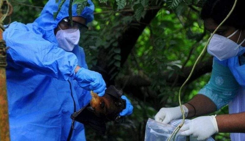 نيباه.. فيروس قاتل بلا لقاح يثير القلق في الهند