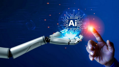 كركي: الادّعاء على شركة وهميّة و3 أجراء وهميّين