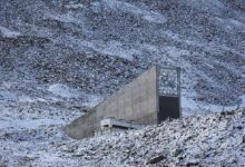 الصحة اللبنانية: شهيدان بينهم طفل وسيدة وإصابة 29 في العدوان الاسرائيلي على البقاع