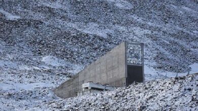 الصحة اللبنانية: شهيدان بينهم طفل وسيدة وإصابة 29 في العدوان الاسرائيلي على البقاع