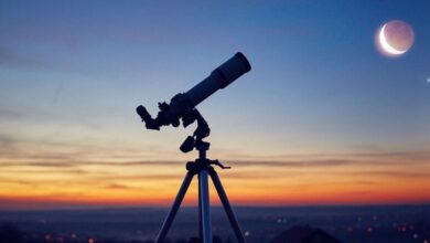 لقاء تضامني في مكتب الشيخ حمود في صيدا تضامنا مع الجمهورية الايرانية وتشديد على رفض كل أشكال الوصاية والهيمنة على الدول المستقلة