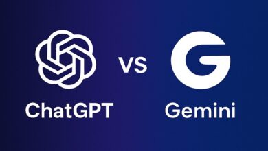 السيد فضل الله: لدعم صمود أهل الجنوب والبقاع في مواجهة الاعتداءات الإسرائيلية