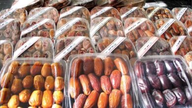 عشية المفاوضات في جنيف… وزير الخارجية الإيراني عباس عراقجي يبحث مع غروسي ملفات التعاون النووي