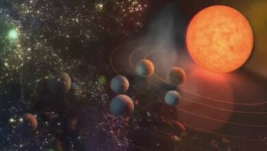 مصلحة الليطاني تطلق مشروع تشجير ضفاف النهر لتعزيز الغطاء النباتي وحماية البيئة