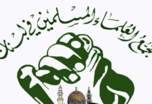 تقارير مصورة