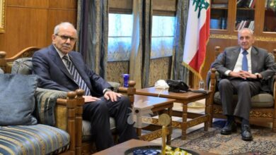 الرئيس بري تابع مع الرئيس سلام وموسى جهود وقف العدوان والسفير المصري: لا بد من وقف الاعتداءات فورا وشمول لبنان بأي وقف للنار