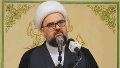 المفتي قبلان: لا بد من تحرك وطني داخلي يمنع لعبة الإنتحار التي تقودها هذه السلطة الخائبة