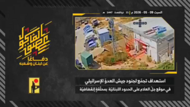 بالفيديو