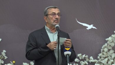 النائب حسن عز الدين: السلطة تنقض الدستور وتتجاوز القوانين النافذة
