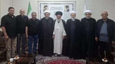 بالفيديو