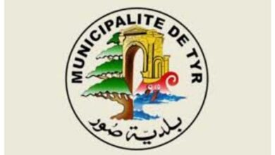 بالفيديو
