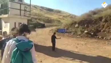 بالفيديو