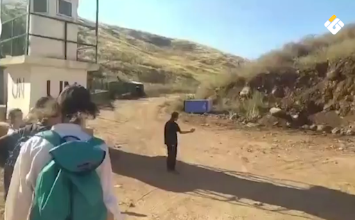 بالفيديو
